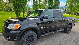 Beautiful Tundra 2004