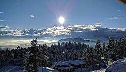 Avail Sept 1 - 1Bdrm/1Bath In Wilden (Kelowna) - Close To Ubco