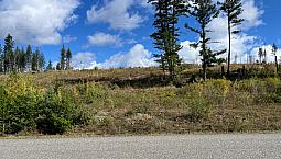 Land In Williams Lake Bc