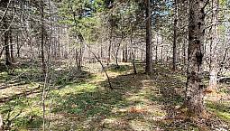 11 +/- Acres  Marshville, Nova Scotia