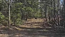 Land For Sale - Over 150 Acres On Kam/Lappe Border