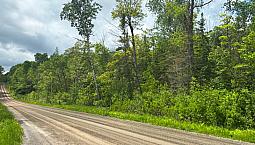 Vacant Land - 7.25 Acres - Carter Side Rd - Desbarats