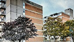 Dorval 3 1/2 For Rent