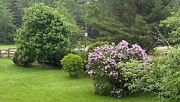 Land For Sale In Rexton