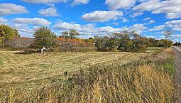 1.8 Acre Lot For Sale.  Lower Lincoln Past Airport.