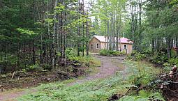 Camp And 25 Acre Woodlot