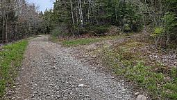 2 Vacant Lots For Sale