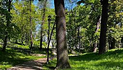 Looking For A Camp, Fredericton Area