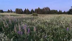 Waterview Lot In Grand Pere Point, Cymbria