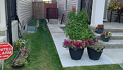  Basement For Rent In Copperfield Se