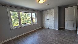 New Renovated 3Bd House Birchmount & Danforth Move In Ready