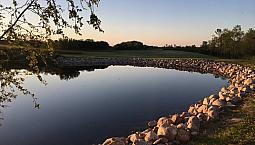 Your Dream Acreage Is Affordable Here!