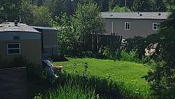 Just Under Half Acre .46 Krestova 3602 3604