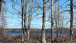 Lake View Lots On Canal Beach Newbrunswick!