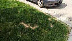 2009 Mazda 3 Sedan