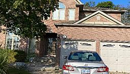 Basement Apartment For Rent