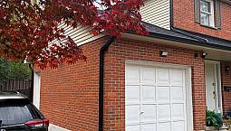 Basement Rental