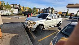 2011 Ford F 150 Xlt 