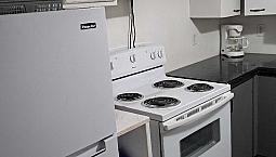 Basement Suite 
