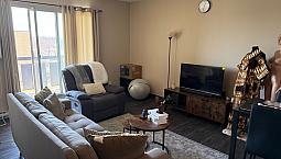 1 Bed 1 Bath 