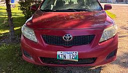 2010 Corolla 