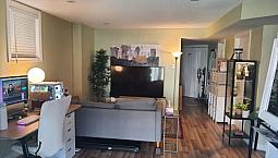 Furnished One Br Walkout Basement For Rent, Single Professionals
