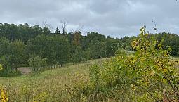 1.64 Acres By Clear Lake Mb