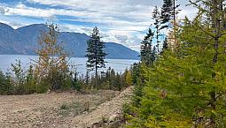 Live The Dream On Incredible Kootenay Lake Bc