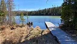 Camp De Chasse Et Pêche À Vendre Zec Owen Bord Lac Du Castor