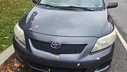 Toyota Corolla 2010