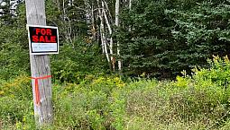 Land With Water Frontage For Sale , East Bay Highway  ,