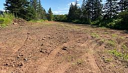 Building Lot For Sale In Shamrock