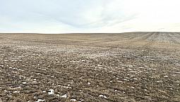 1,229 Acres For Sale Richmound Sk