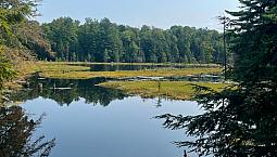 212 Acres Muskoka Land | Hunting, Recreation & Investment