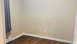 House Basement Suite 1-bedroom For Rent $1200