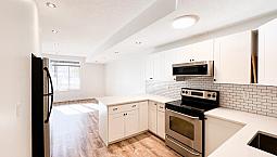 Bright 2-Bed Walkout | South Calgary | Marda Loop