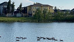 5-Bedroom, 4 Bath Large Executive House On Lake + Park, Bright