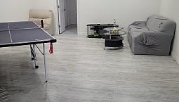 Renovated Basement Apartment