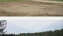 Property Private 27.43 Acres W/pond Near Markdale Ontario