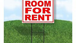 Basement Room For Rent 
