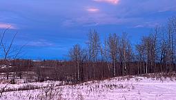 Iso Foothills Acreage