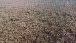 40 Acres For Sale Vanscoy