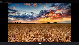 Acreage Land Close To Lloydminster