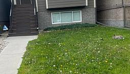 House For Rent