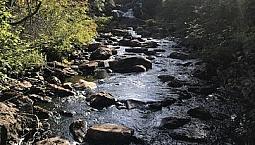 Beautiful Back-Sloping Lot Bordering River & Ocean View