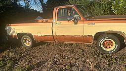  1980 Sierra Grand 1500 Long Box