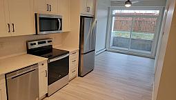 Luxury 1 Bedroom Condo For Rent In Auburn Bay