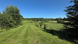 Lake Country Living On 3.61 Acres