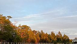 Looking To Buy Land For Cash In Nova Scotia 