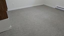 One Bedroom Basement Suite